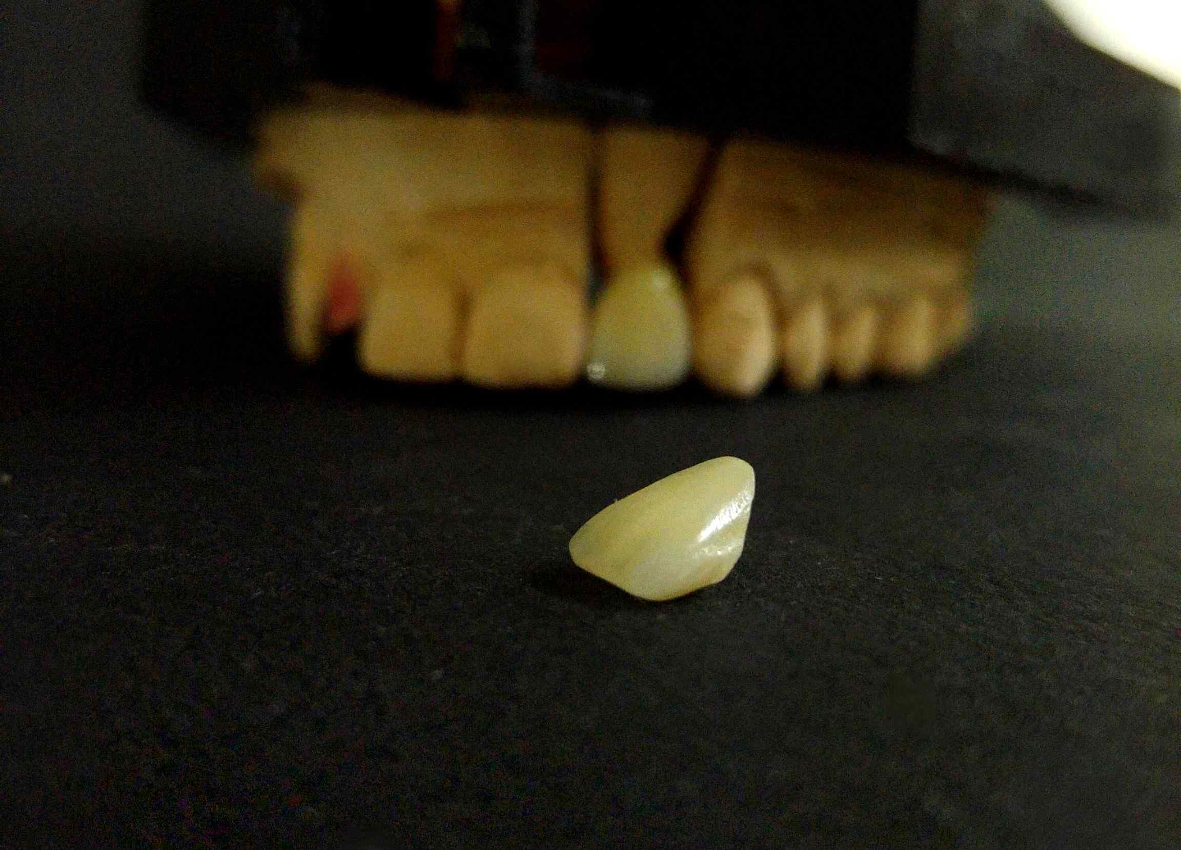 טכנאות שיניים SR Dentline